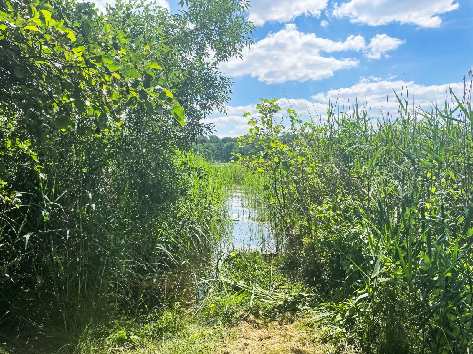 Am Pälitzsee-Outside