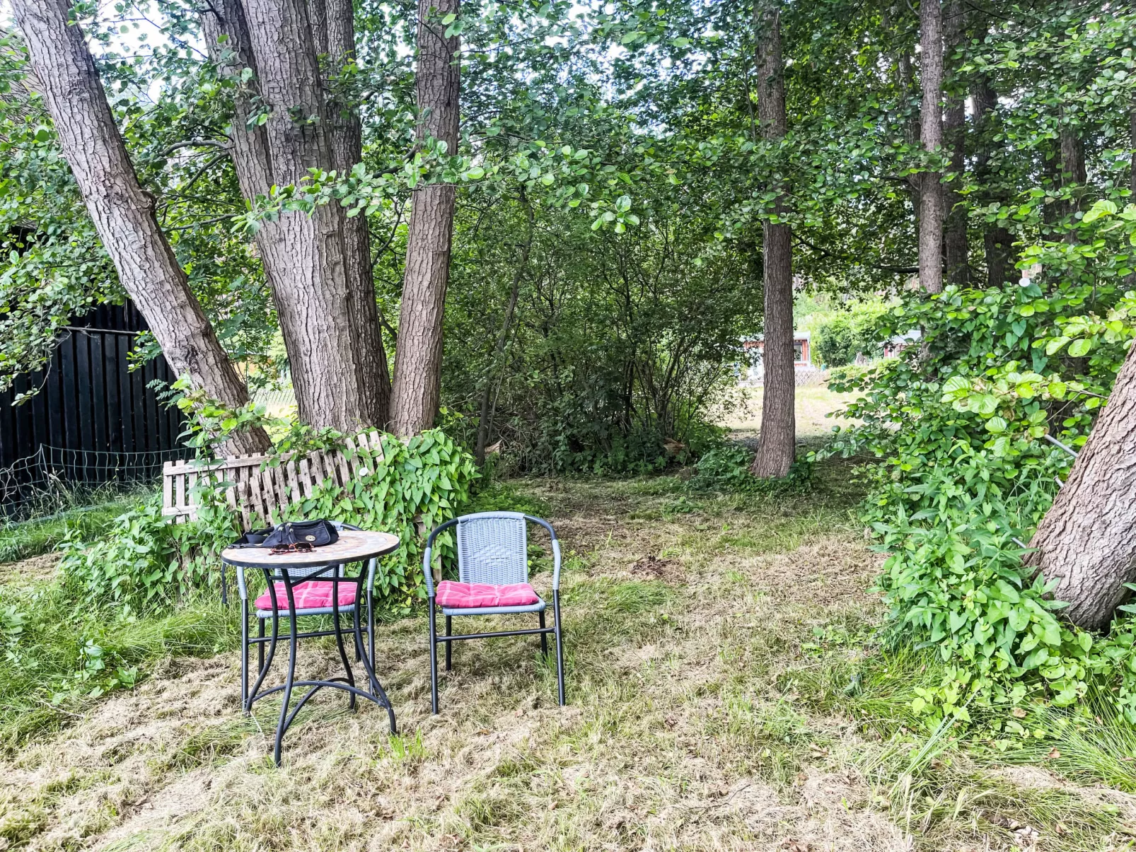 Am Pälitzsee-Outside