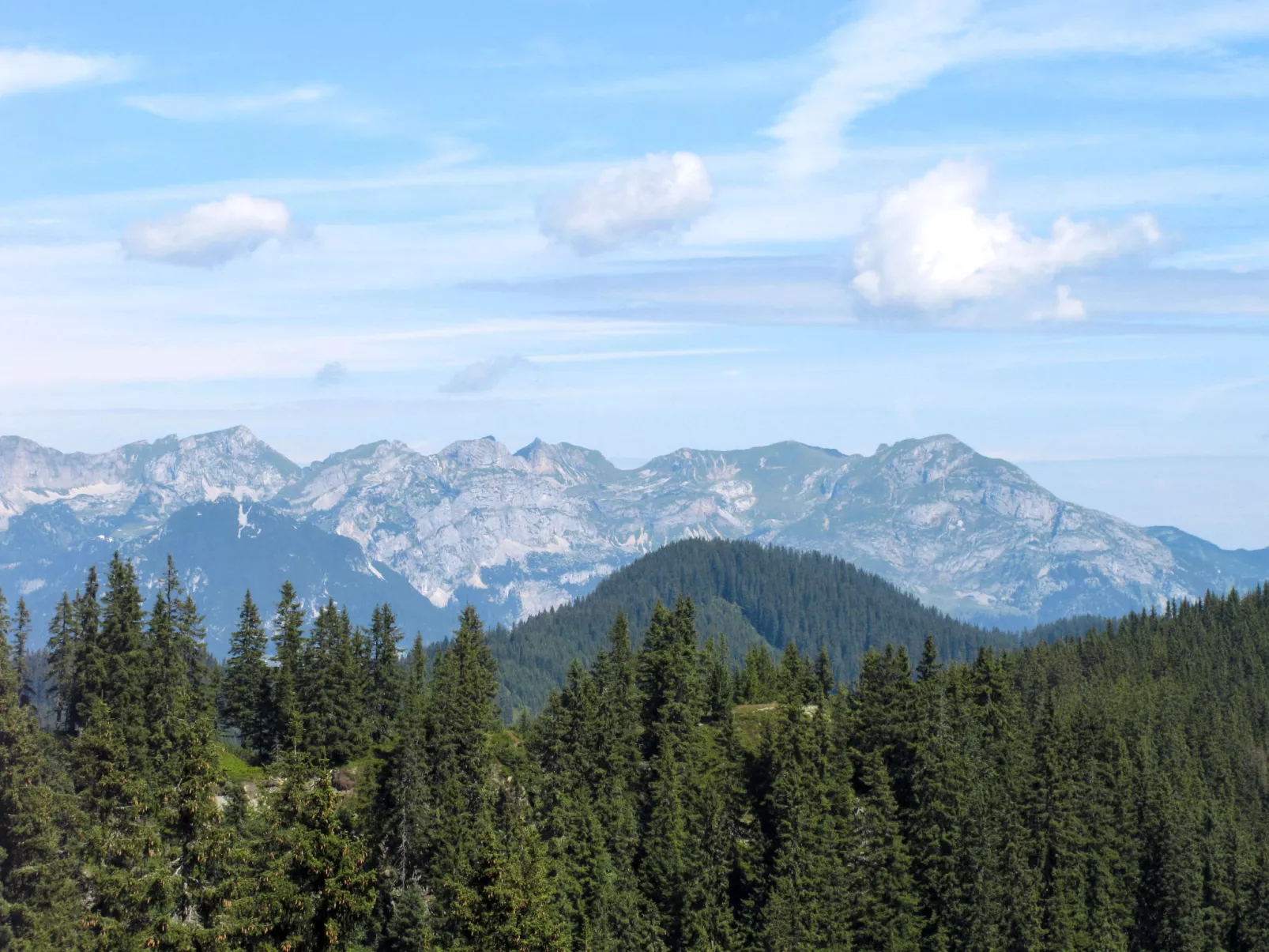 Erzherzog’s Apts Kaiser und Alpenlodge-Area
