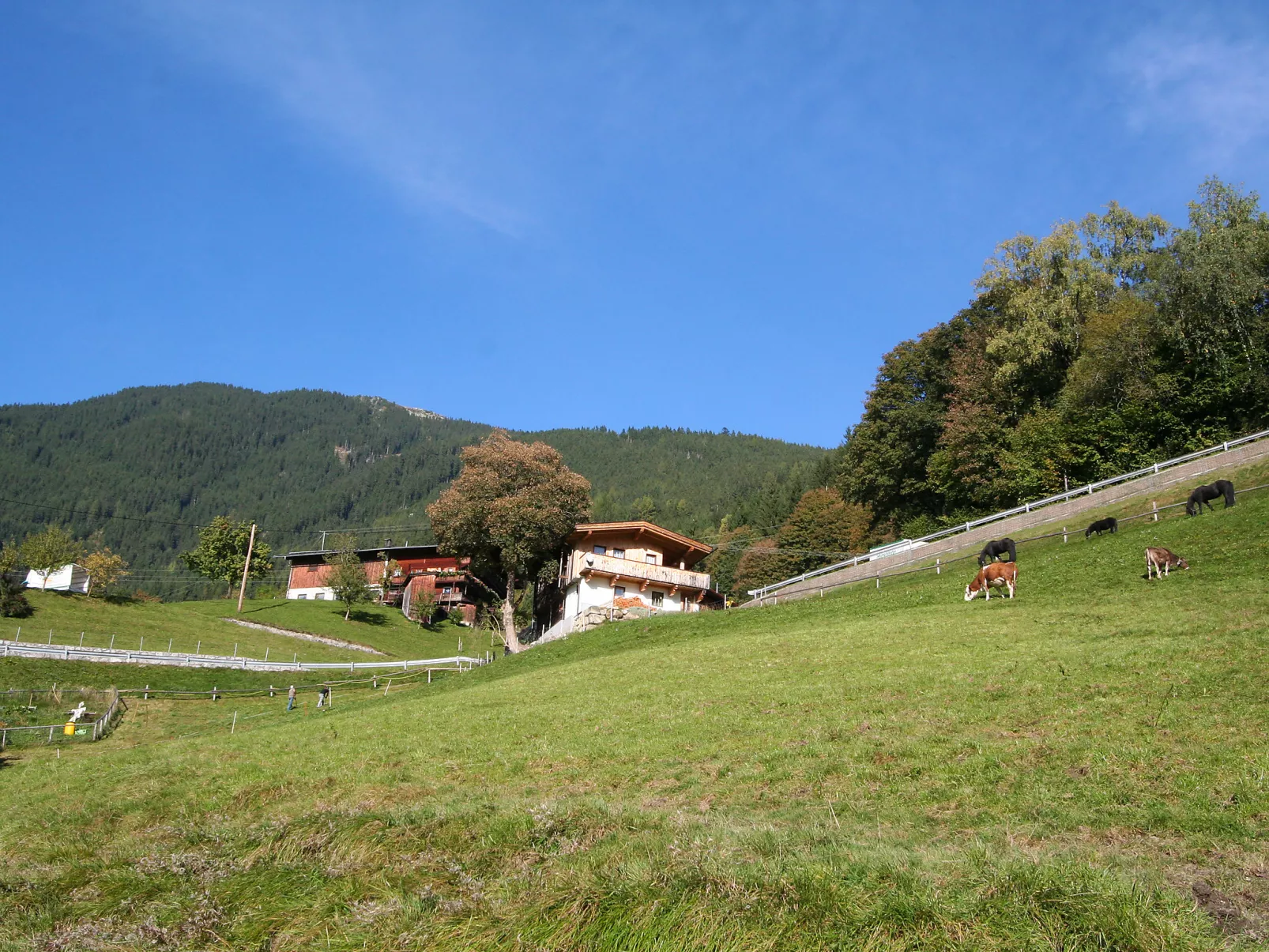 Hamberg Hütte-Outside