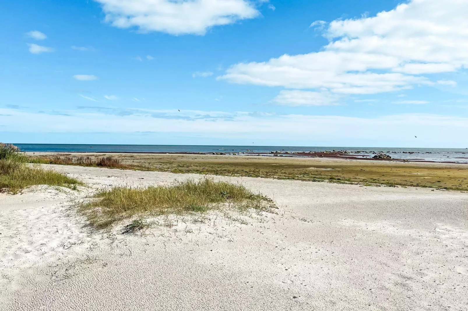 5 person holiday home in BORGHOLM-Not tagged
