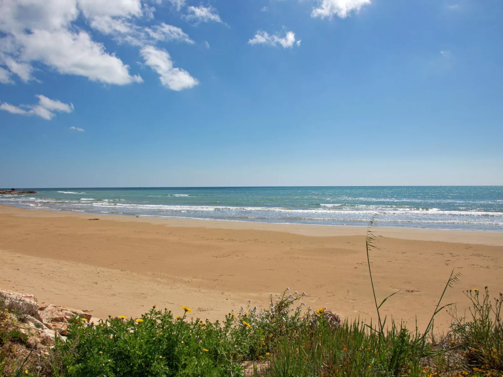 Mare-Area