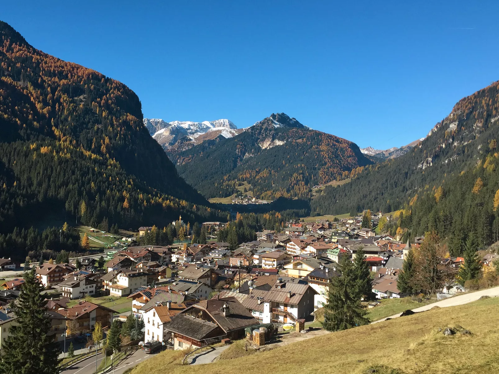 Cesa Giordi-Area