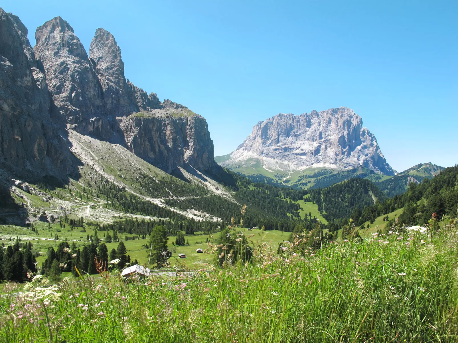 Cesa Giordi-Area