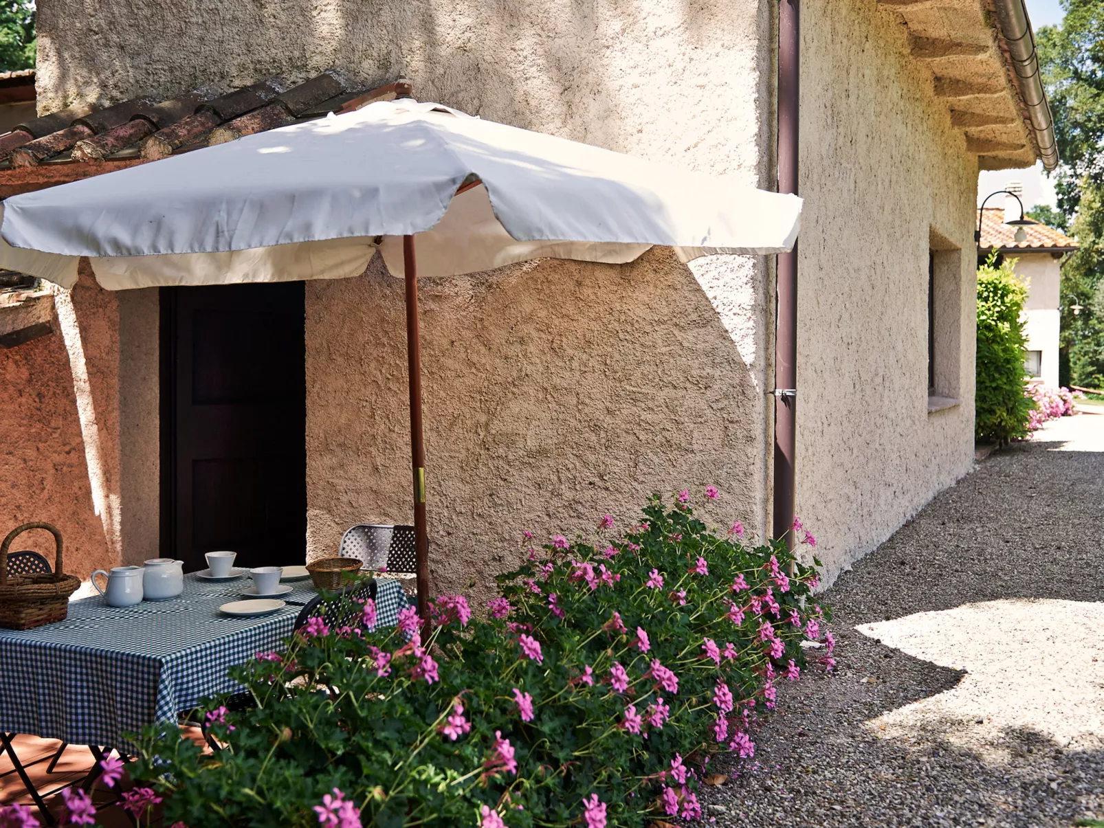 Bardeggiano - Caterina 8 (COL243)-Outside