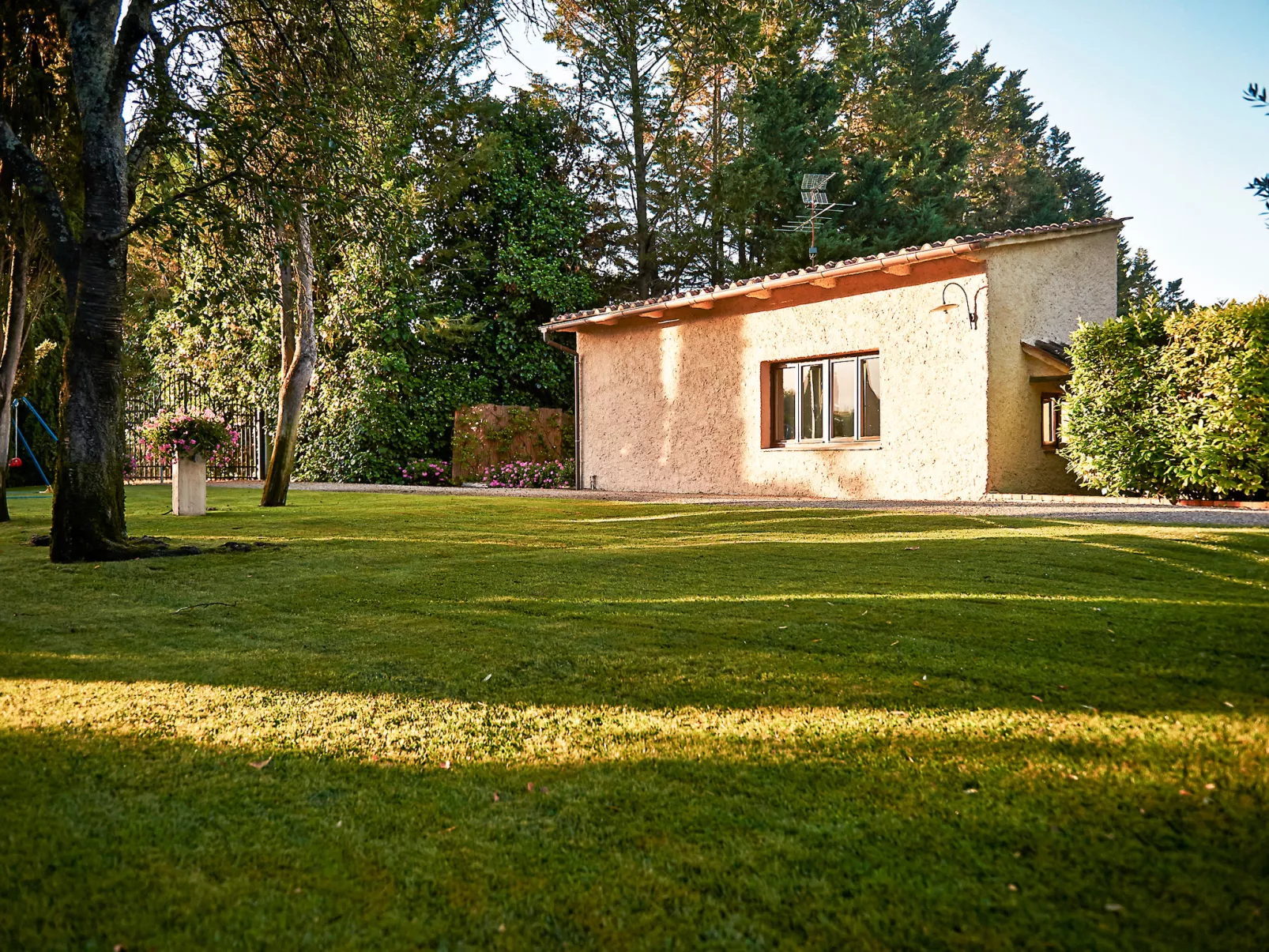 Bardeggiano - Caterina 8 (COL243)-Outside