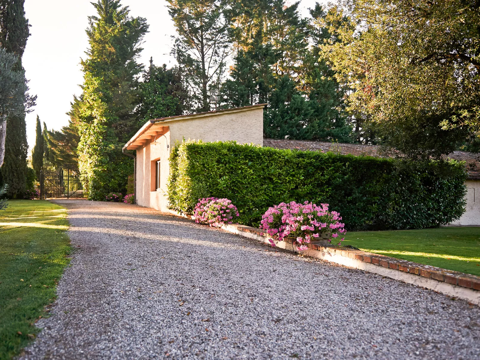 Bardeggiano - Caterina 8 (COL243)-Outside