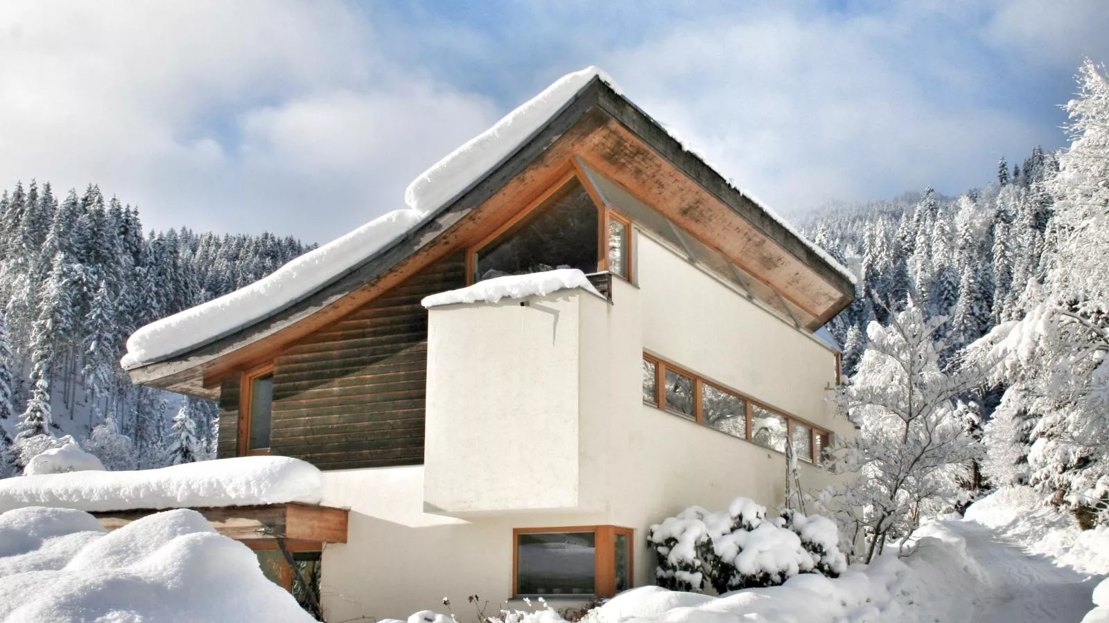 Im Wald-Extérieur hiver