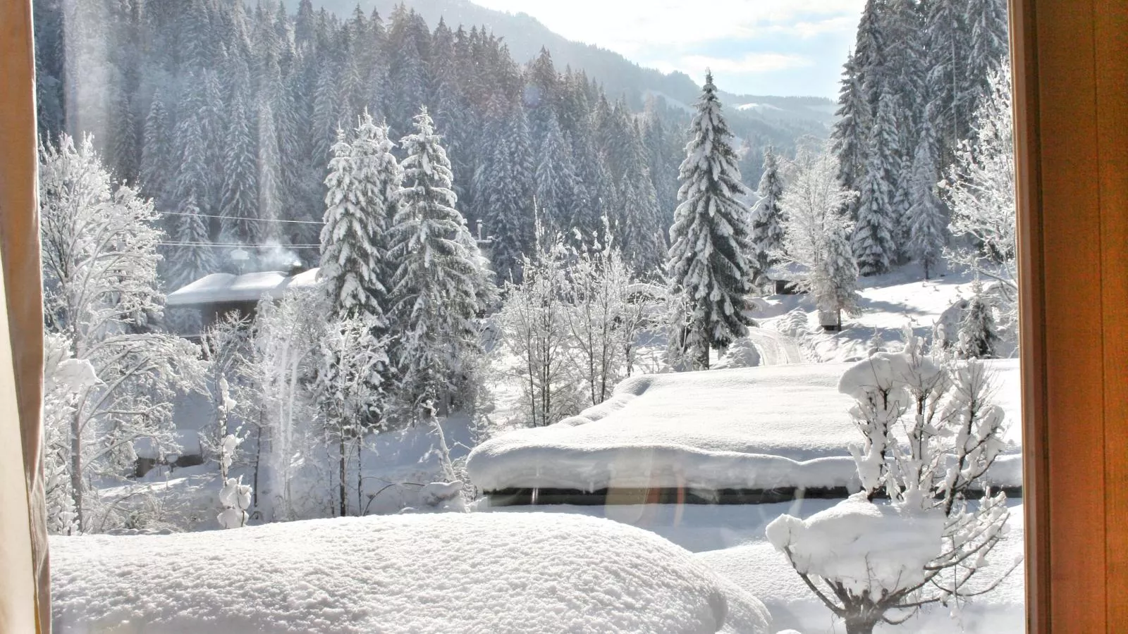 Im Wald-Vue d'hiver