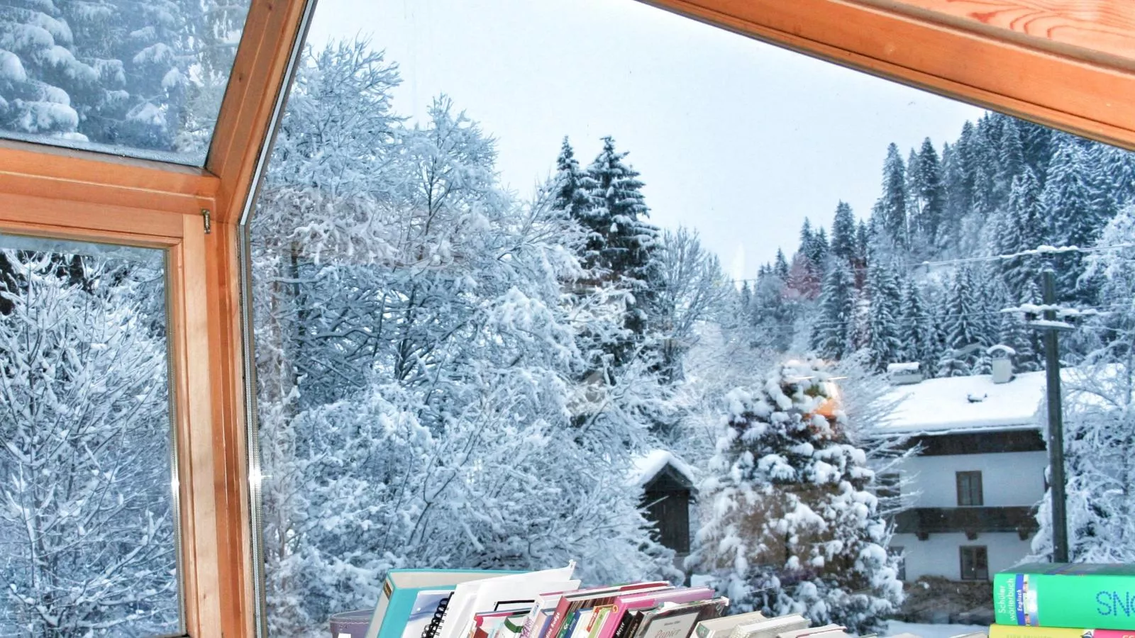 Im Wald-Vue d'hiver