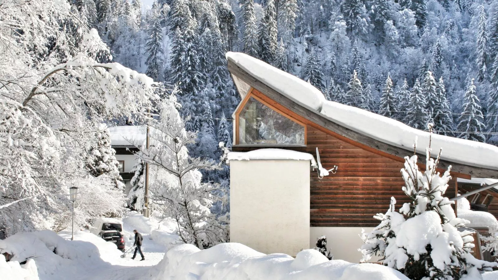 Im Wald-Extérieur hiver