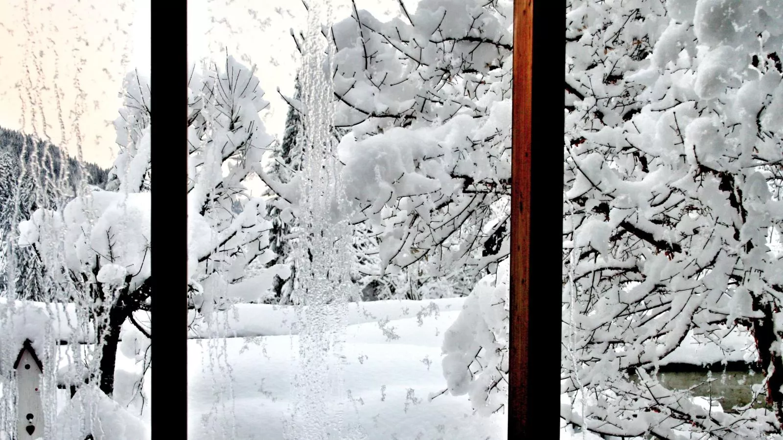 Im Wald-Vue d'hiver