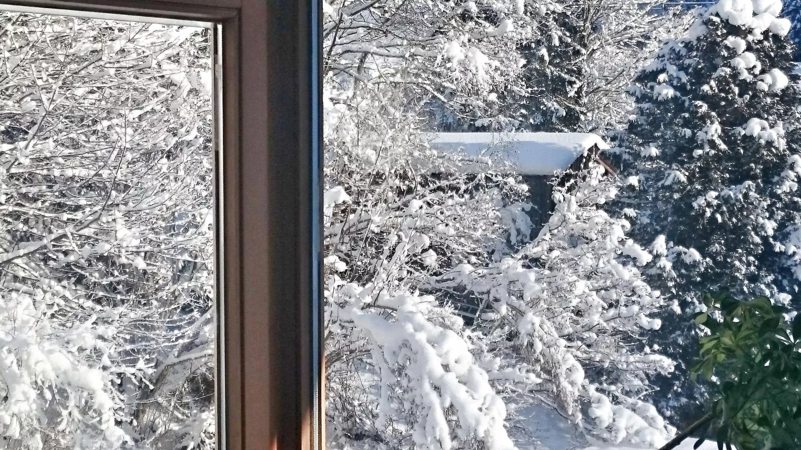Im Wald-Vue d'hiver