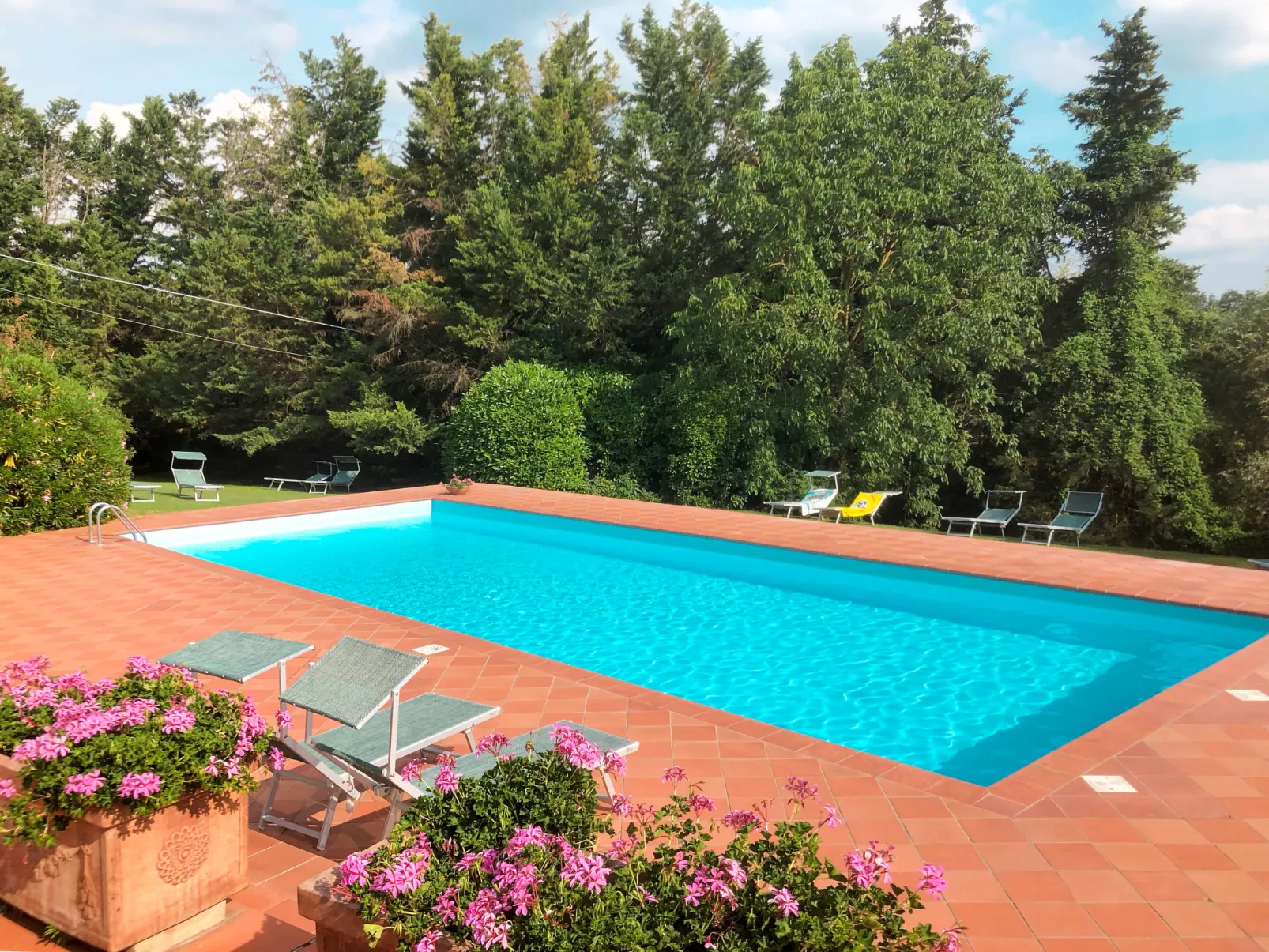 Bardeggiano - Caterina 3 (COL246)
