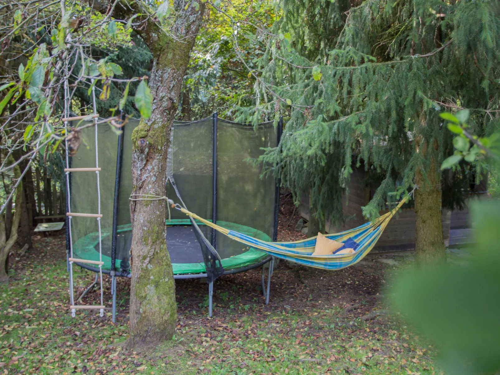 Waldblick-Outside