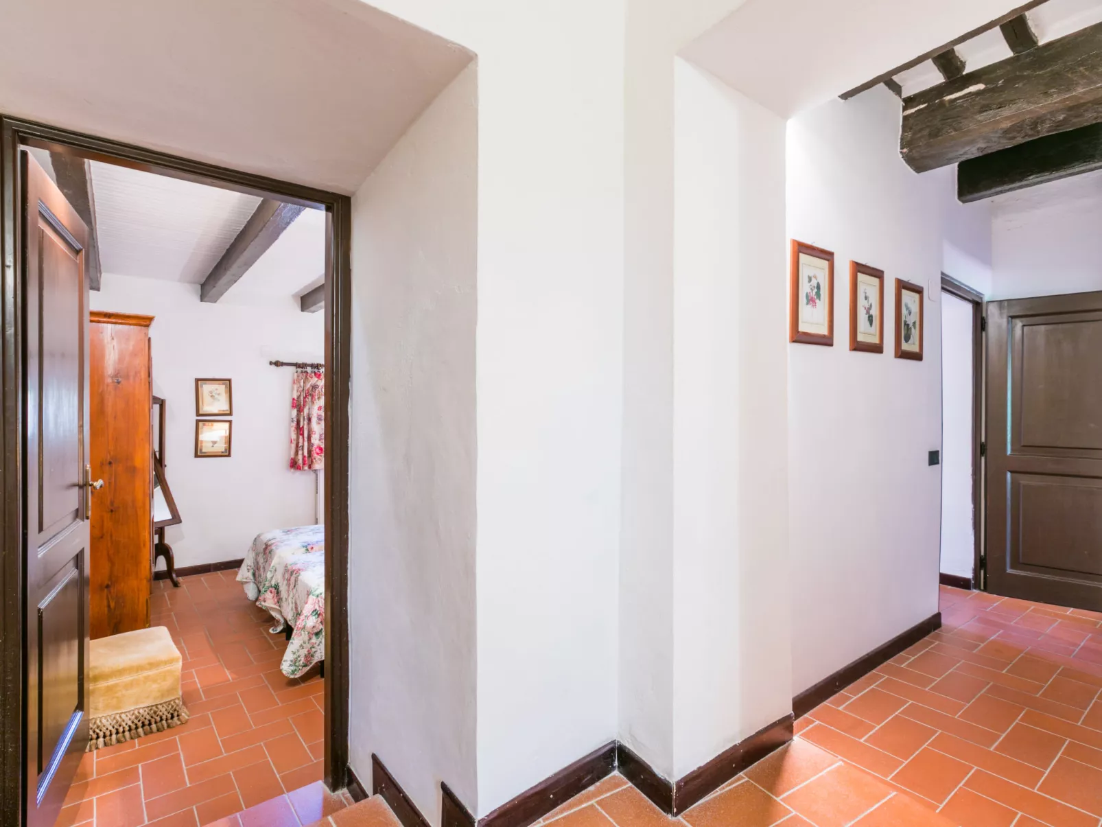 Bardeggiano - Caterina 3 (COL246)-Inside