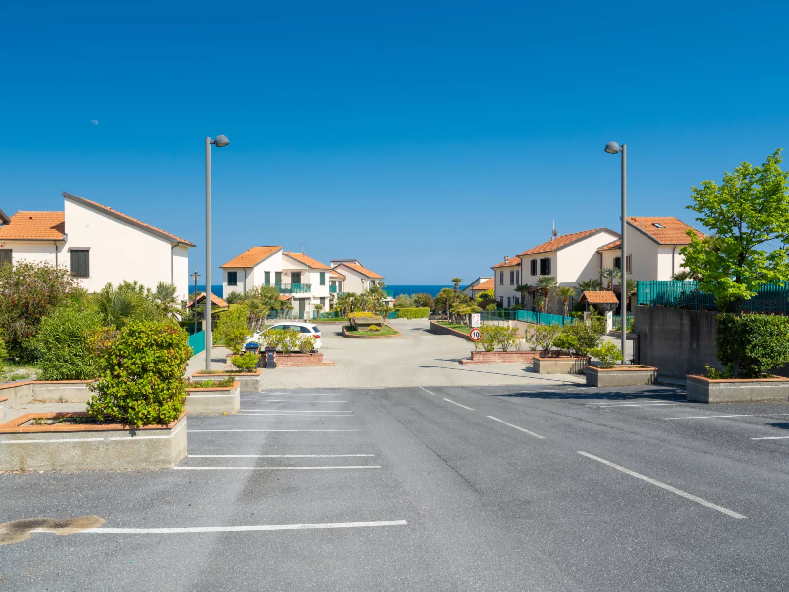 Le Margherite (SLR261)-Dehors