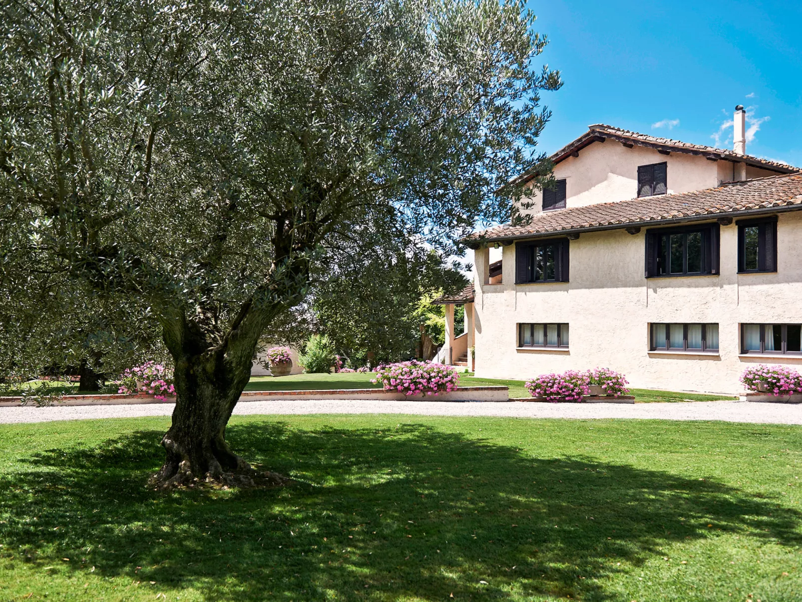 Bardeggiano - Caterina 3 (COL246)-Outside
