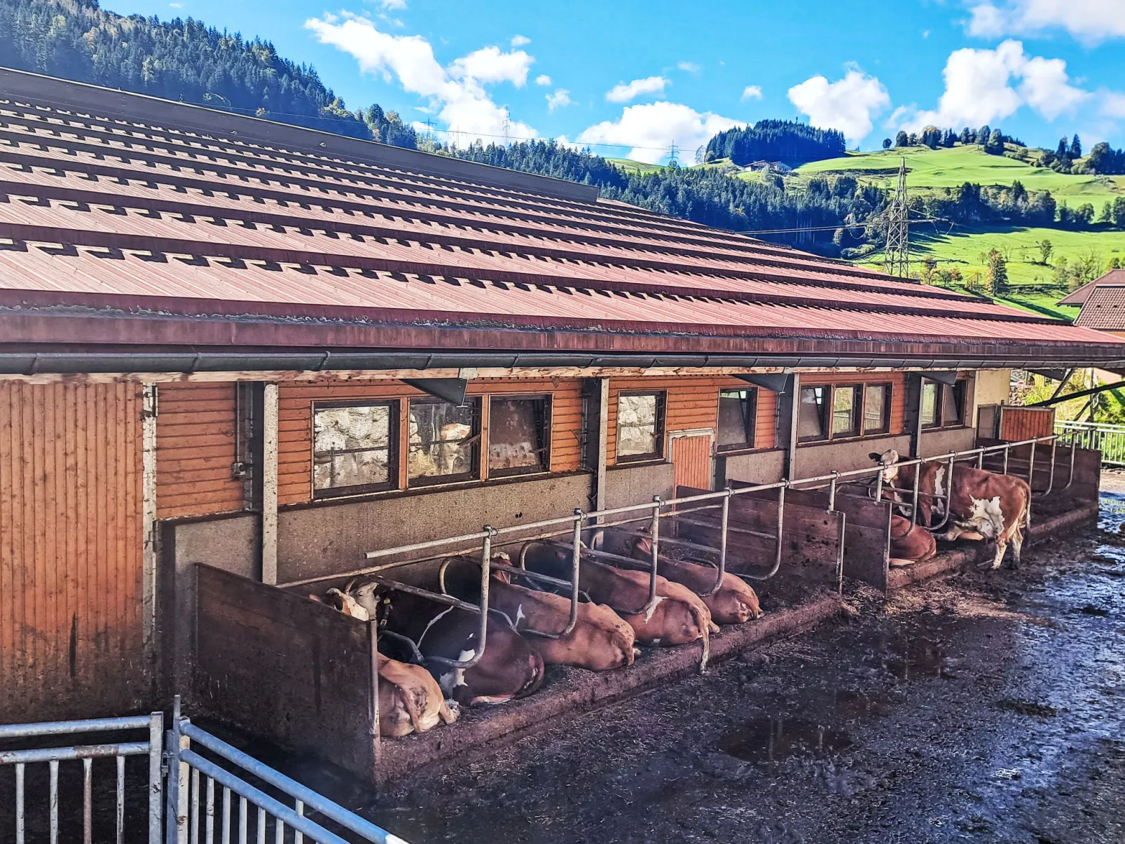 Schönblick Mountain Resort & Spa-Dehors