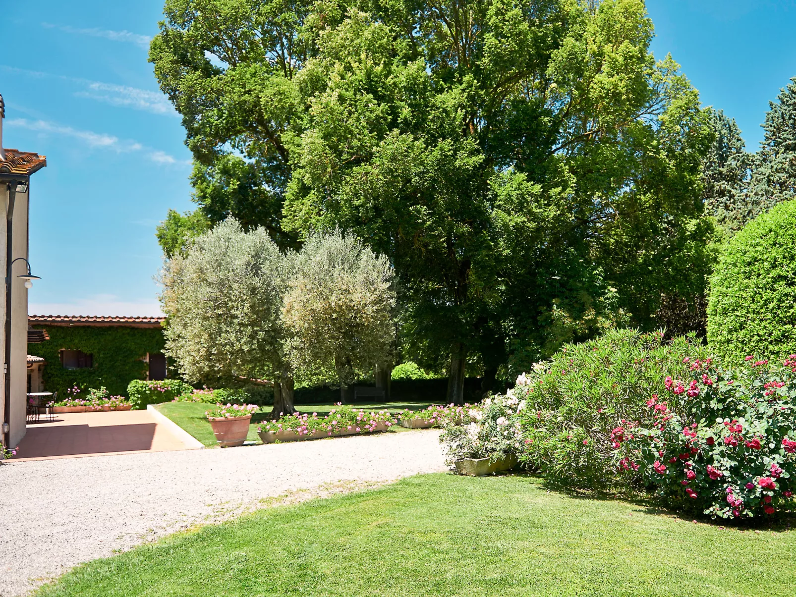 Bardeggiano - Caterina 3 (COL246)-Outside
