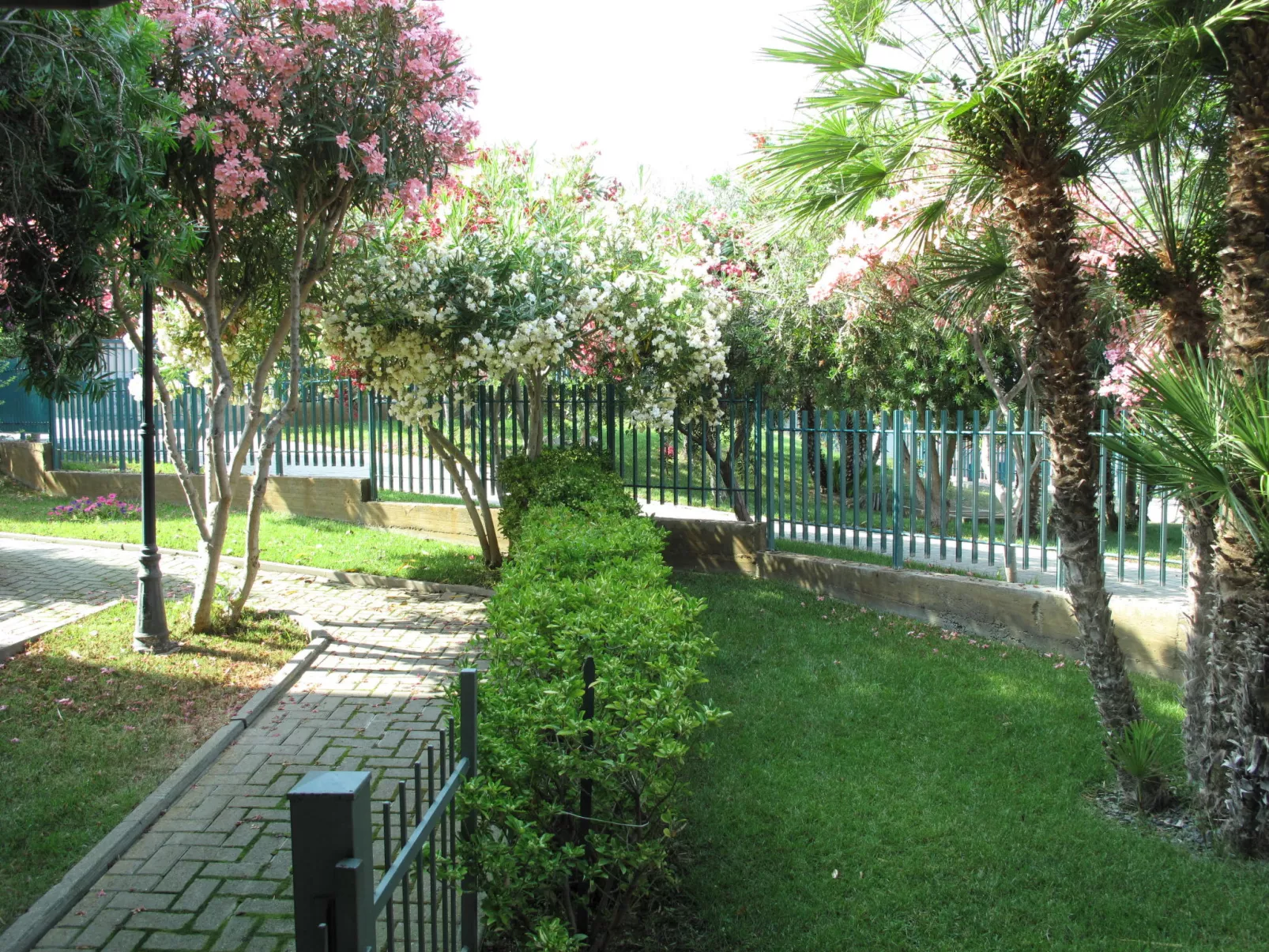Le Margherita (SLR266)-Outside