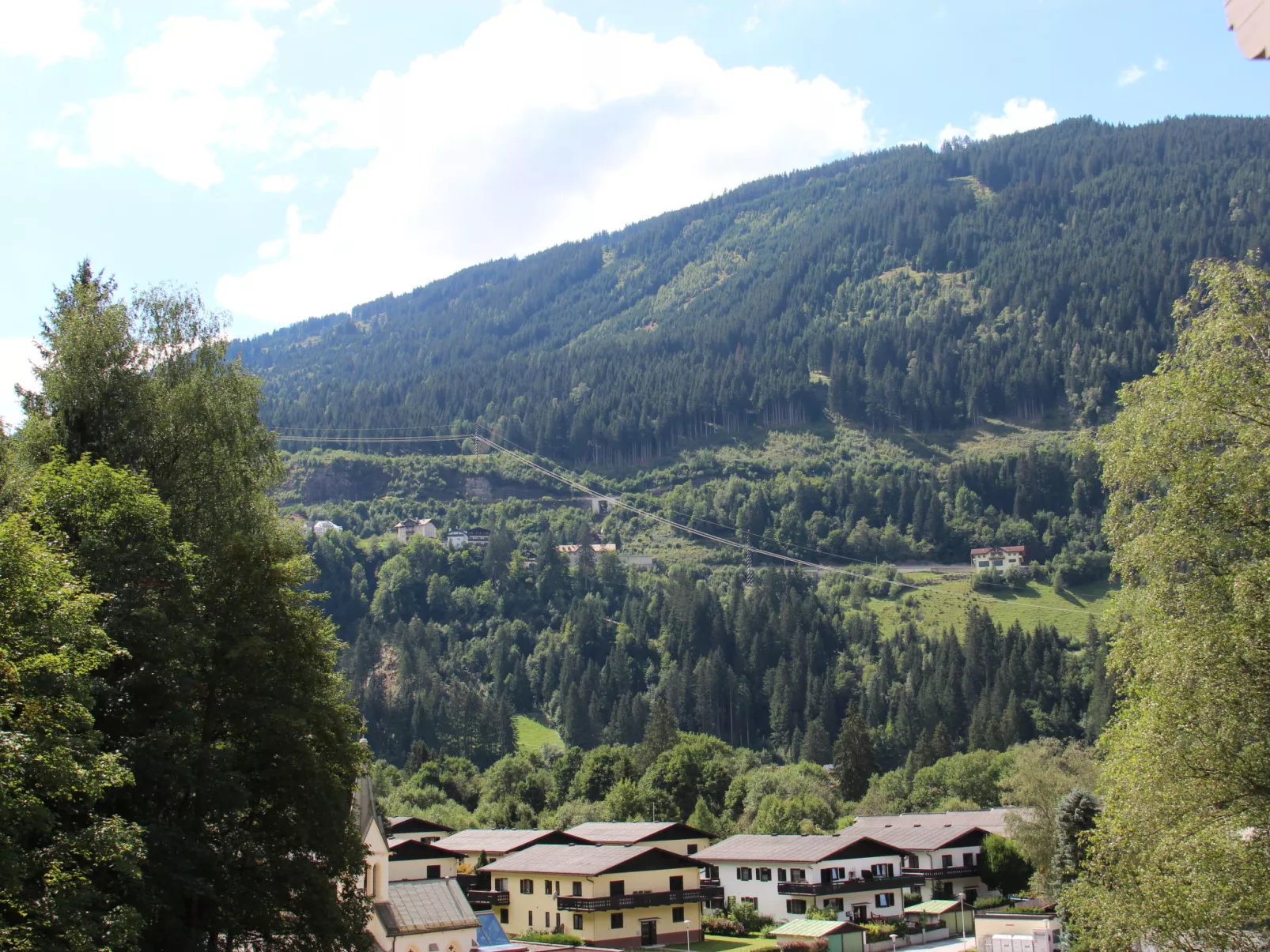Pflaume-Dehors