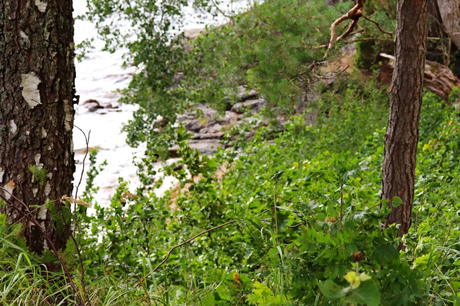 8 person holiday home in DALS-LÅNGED-By Traum-Water view