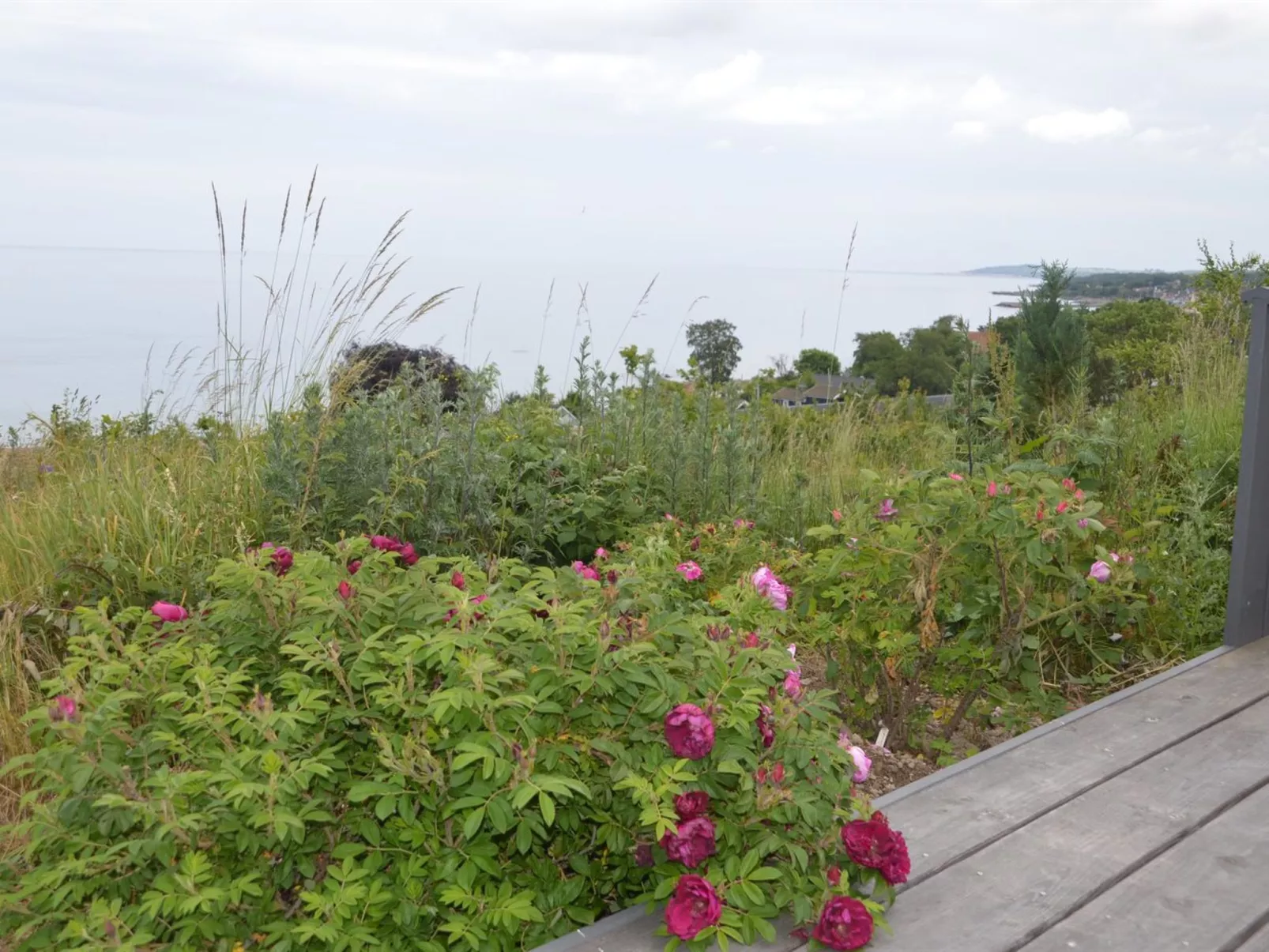 "Seetje" - 200m from the sea-Draußen