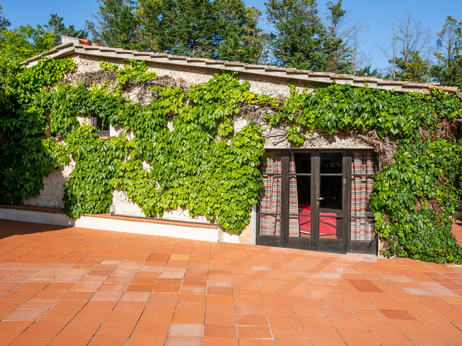 Bardeggiano - Caterina 4 (COL247)-Outside