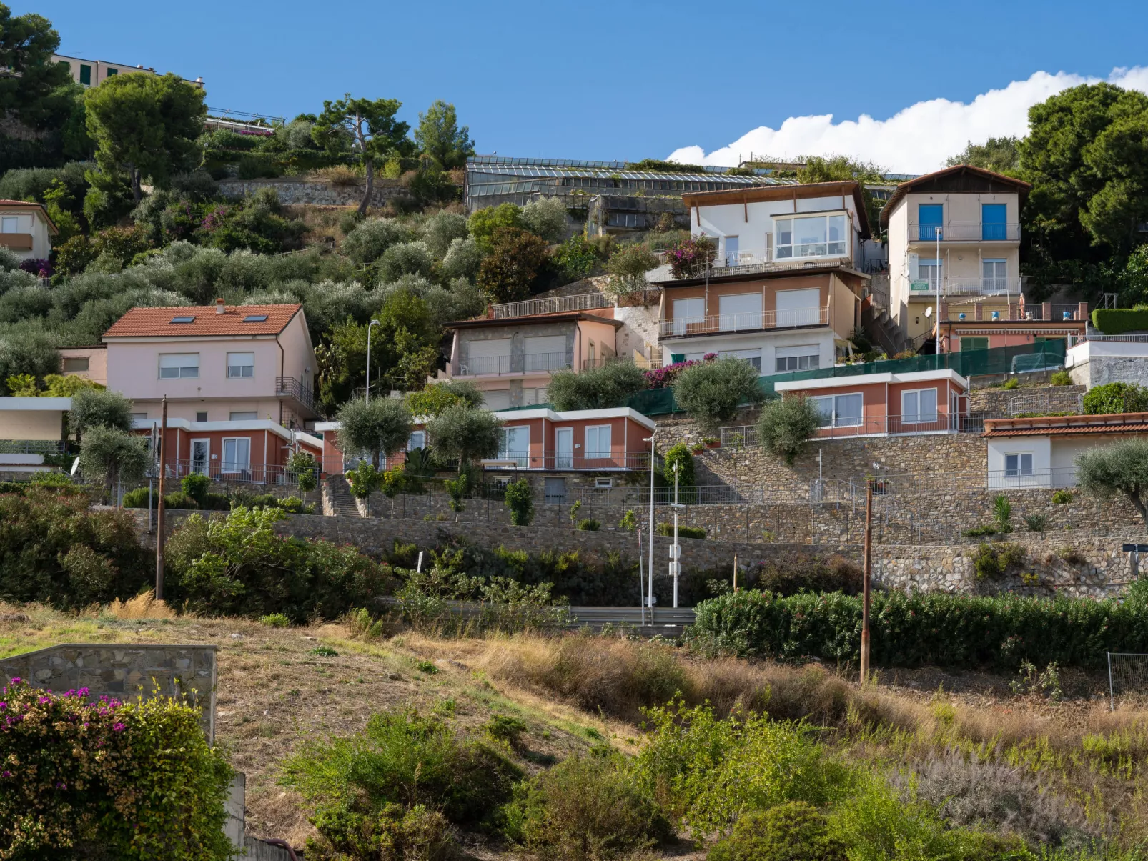 Mandorlo (SLR401)-Outside