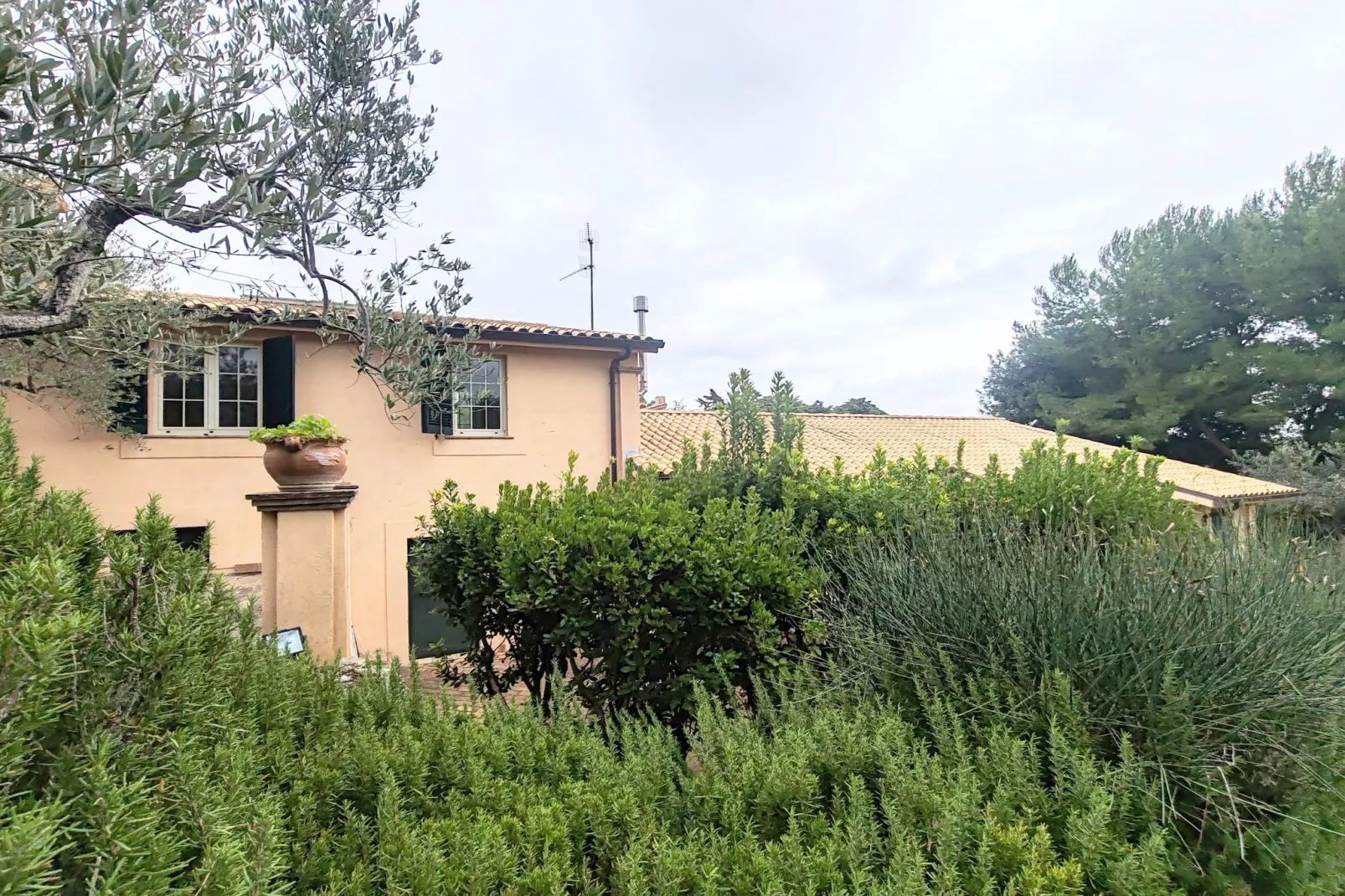 Petit Verdot-Exterior winter
