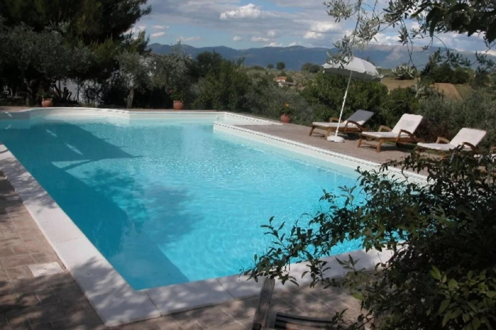 Petit Verdot-Pool