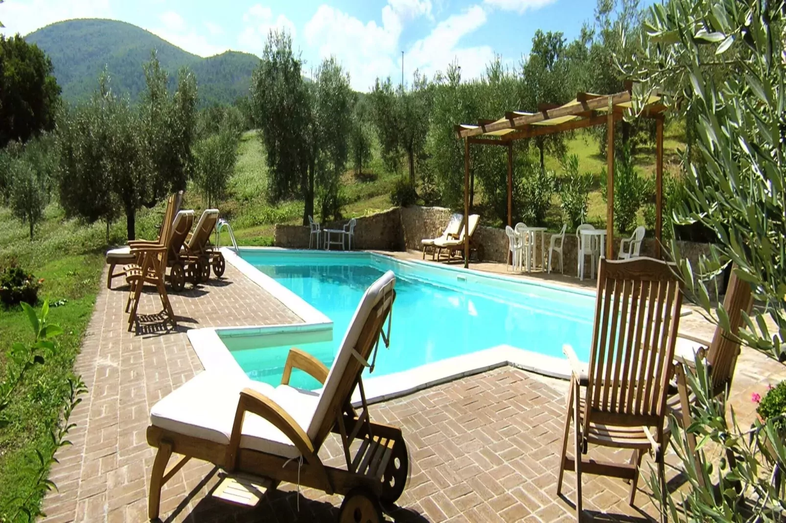 Petit Verdot-Pool
