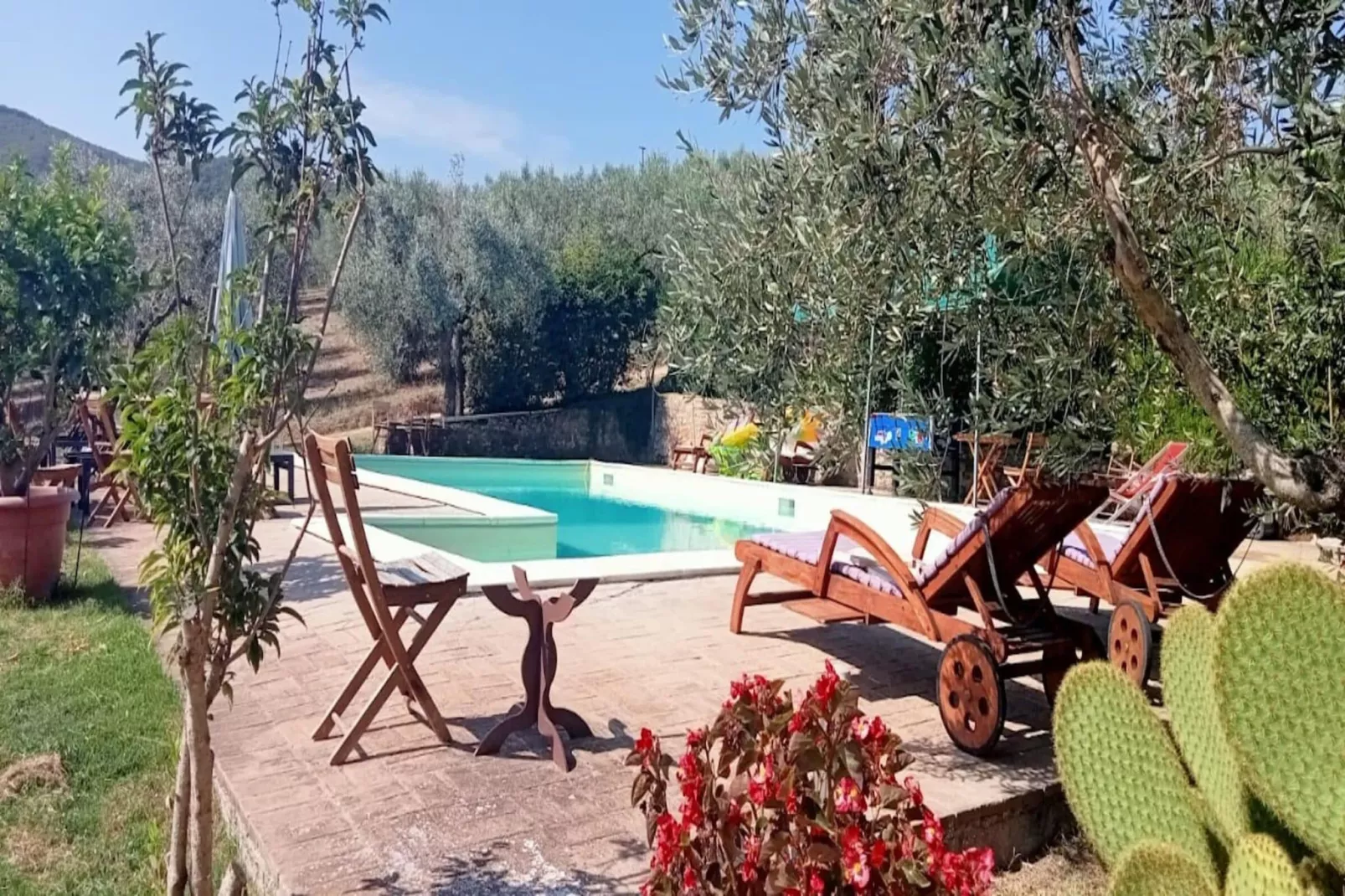Petit Verdot-Pool
