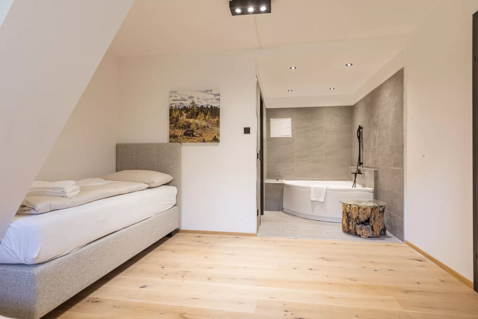 Saalbach Suite 6-Bedroom