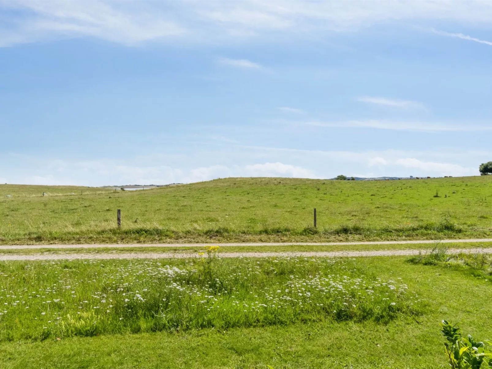 "Bæver" - 200m from the sea-Outside