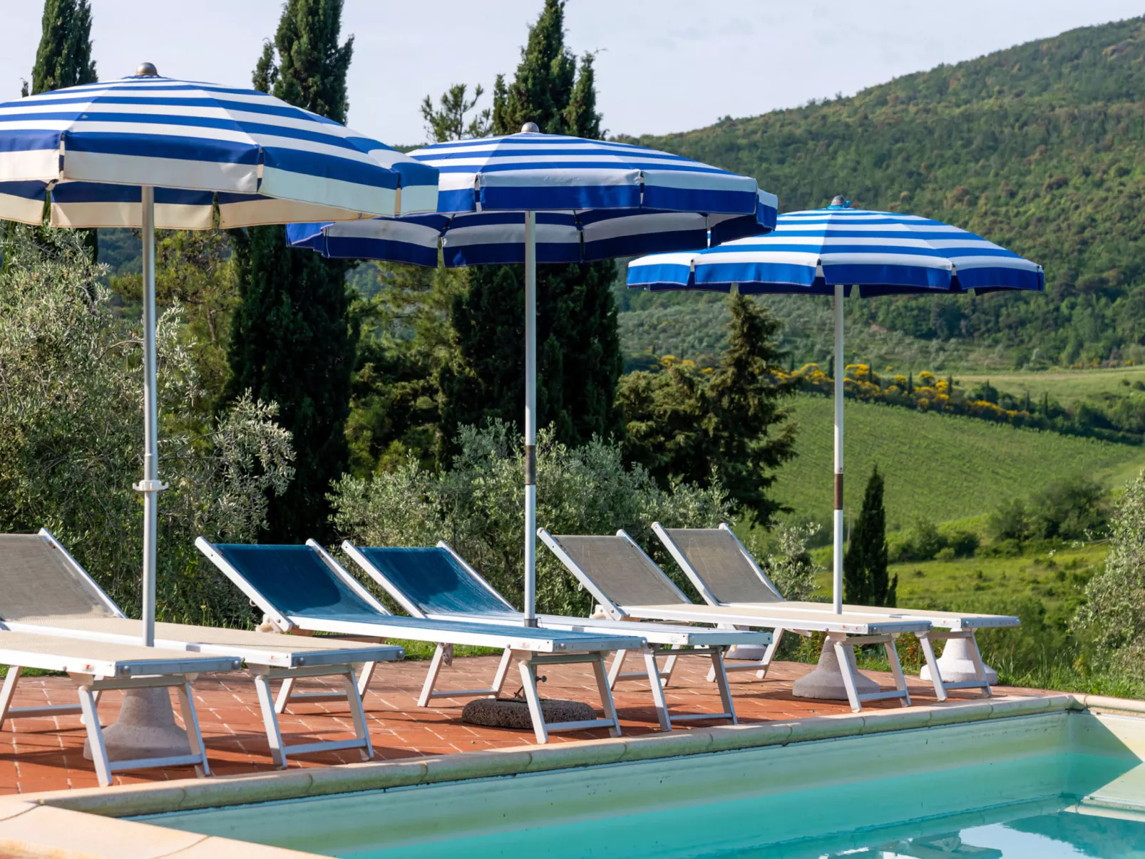 Le Sodole - Papavero-Outside