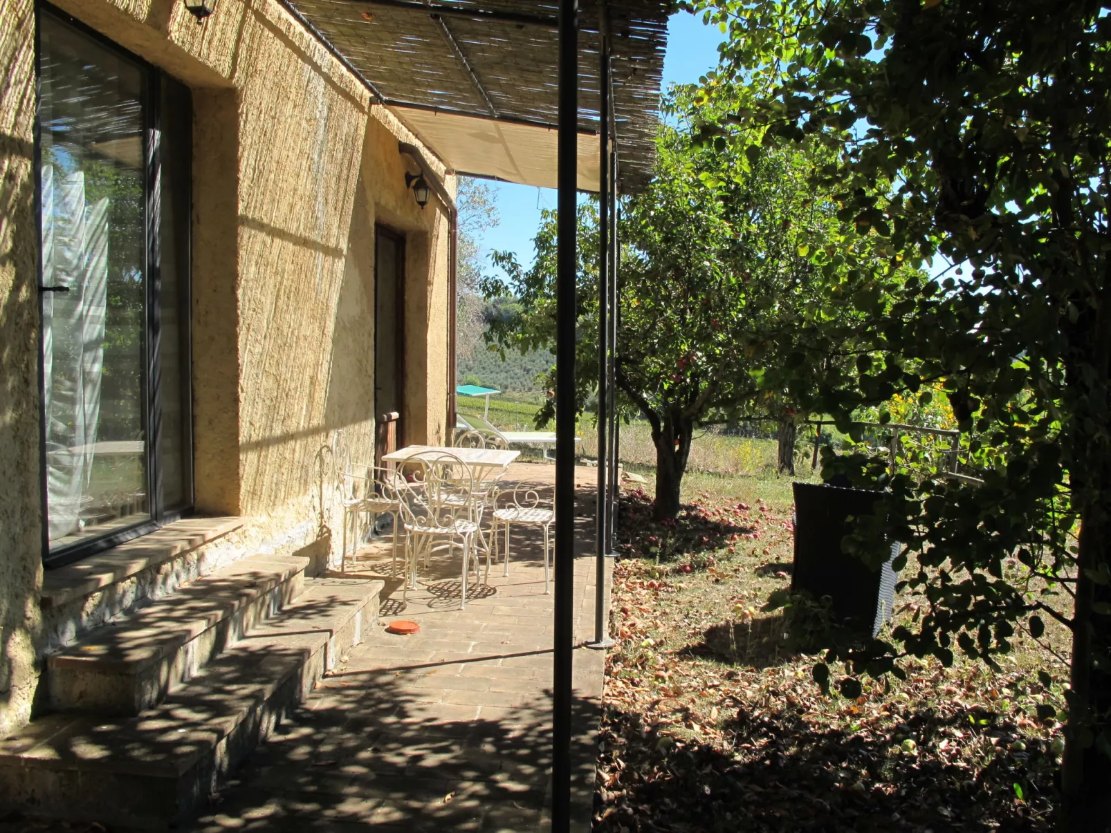 Le Sodole - Papavero-Outside