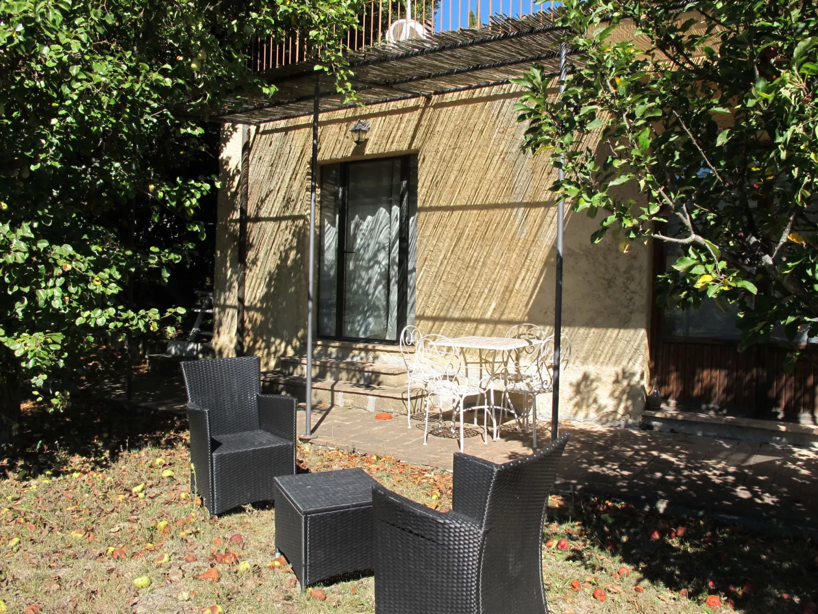 Le Sodole - Papavero-Outside