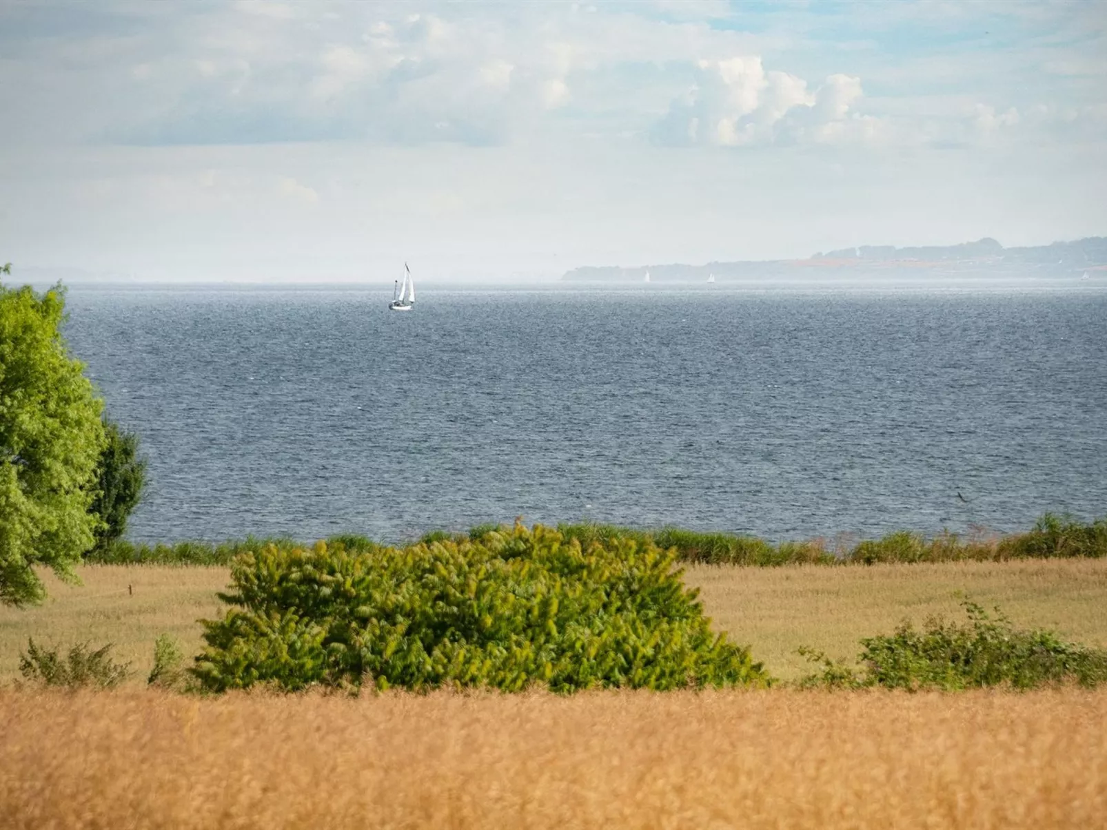 "Edithe" - 250m from the sea-Draußen
