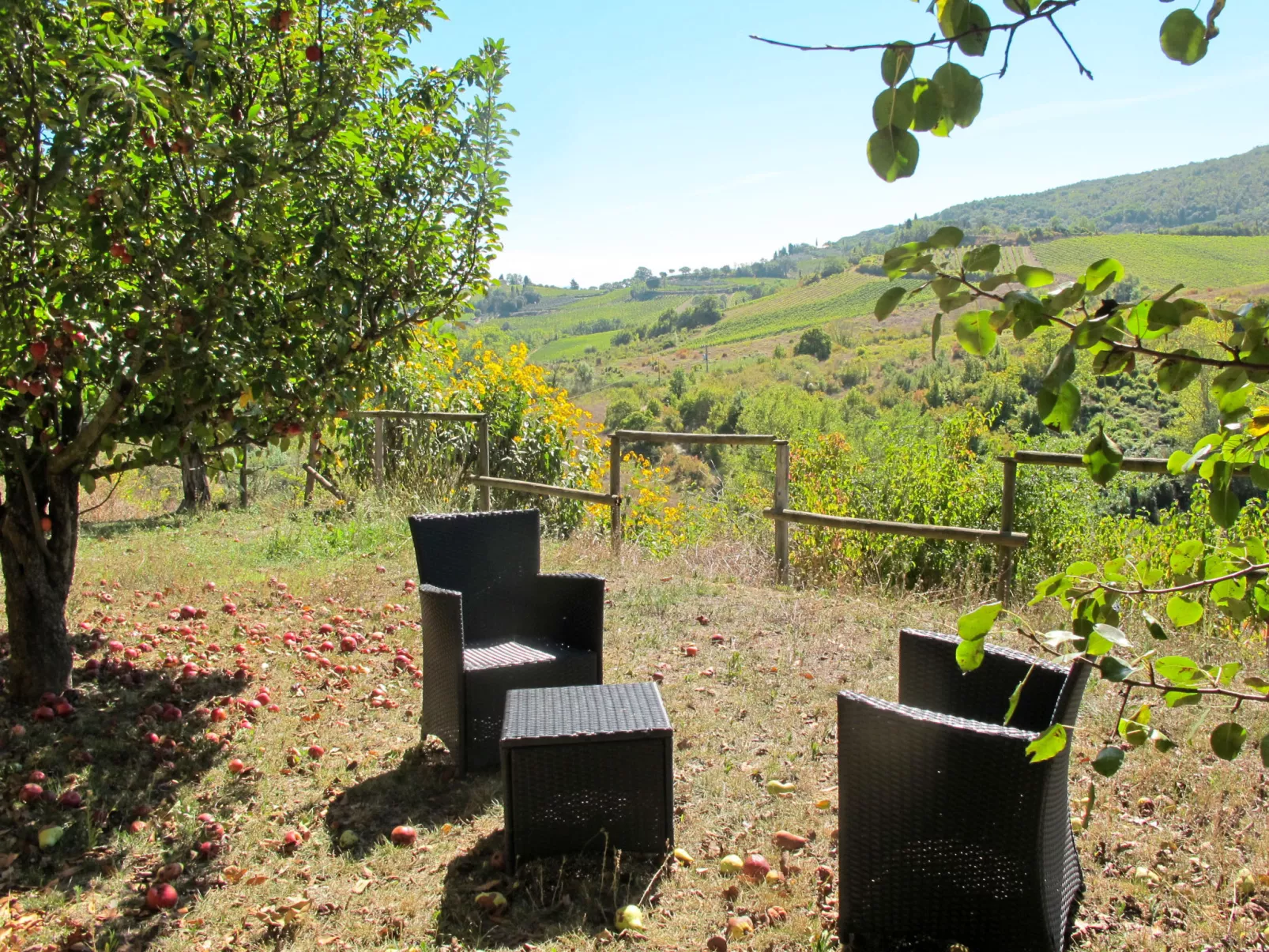 Le Sodole - Papavero e Pervinca-Outside
