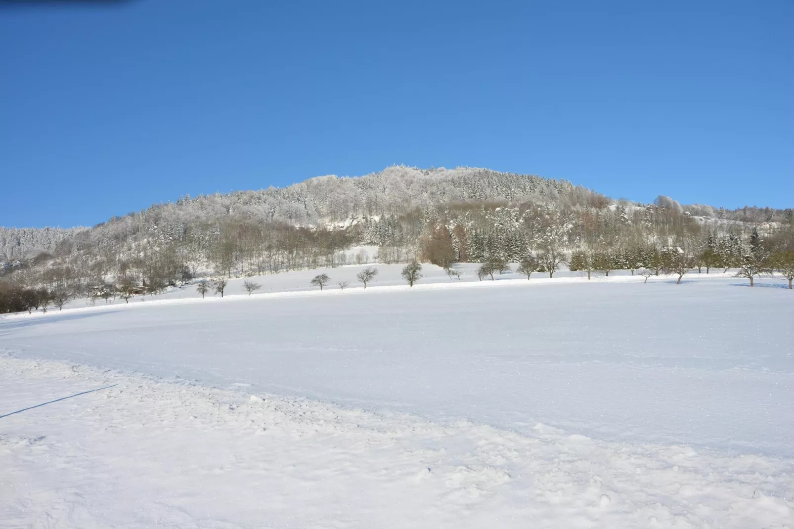 Vladka-Area winter 1km