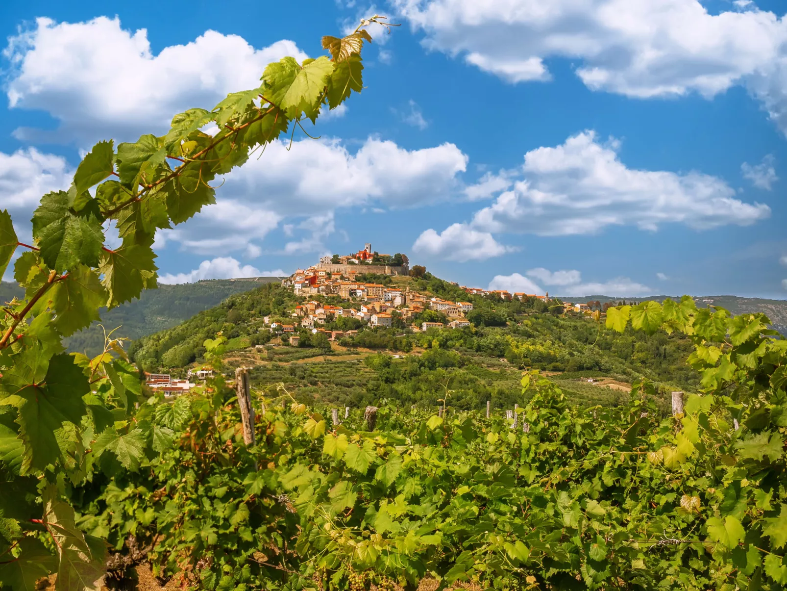 Panorama del Tartufo-Area