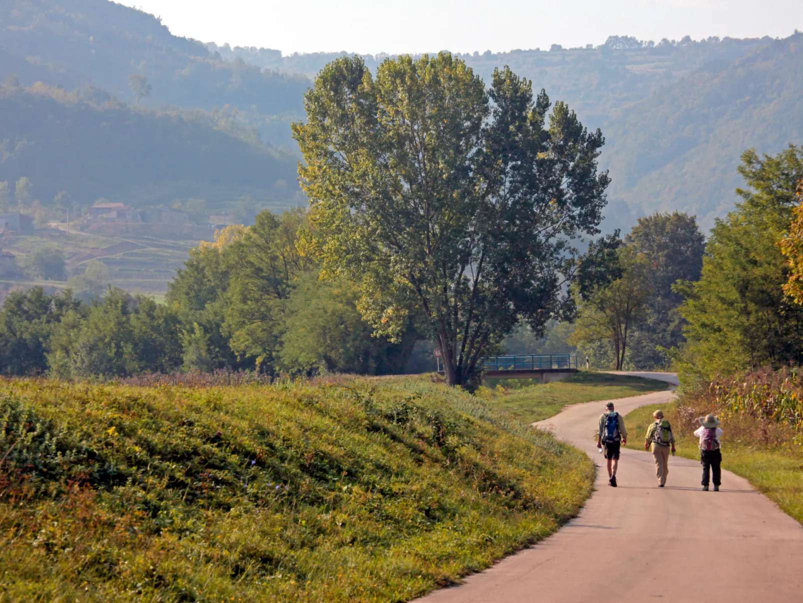 Panorama del Tartufo-Area