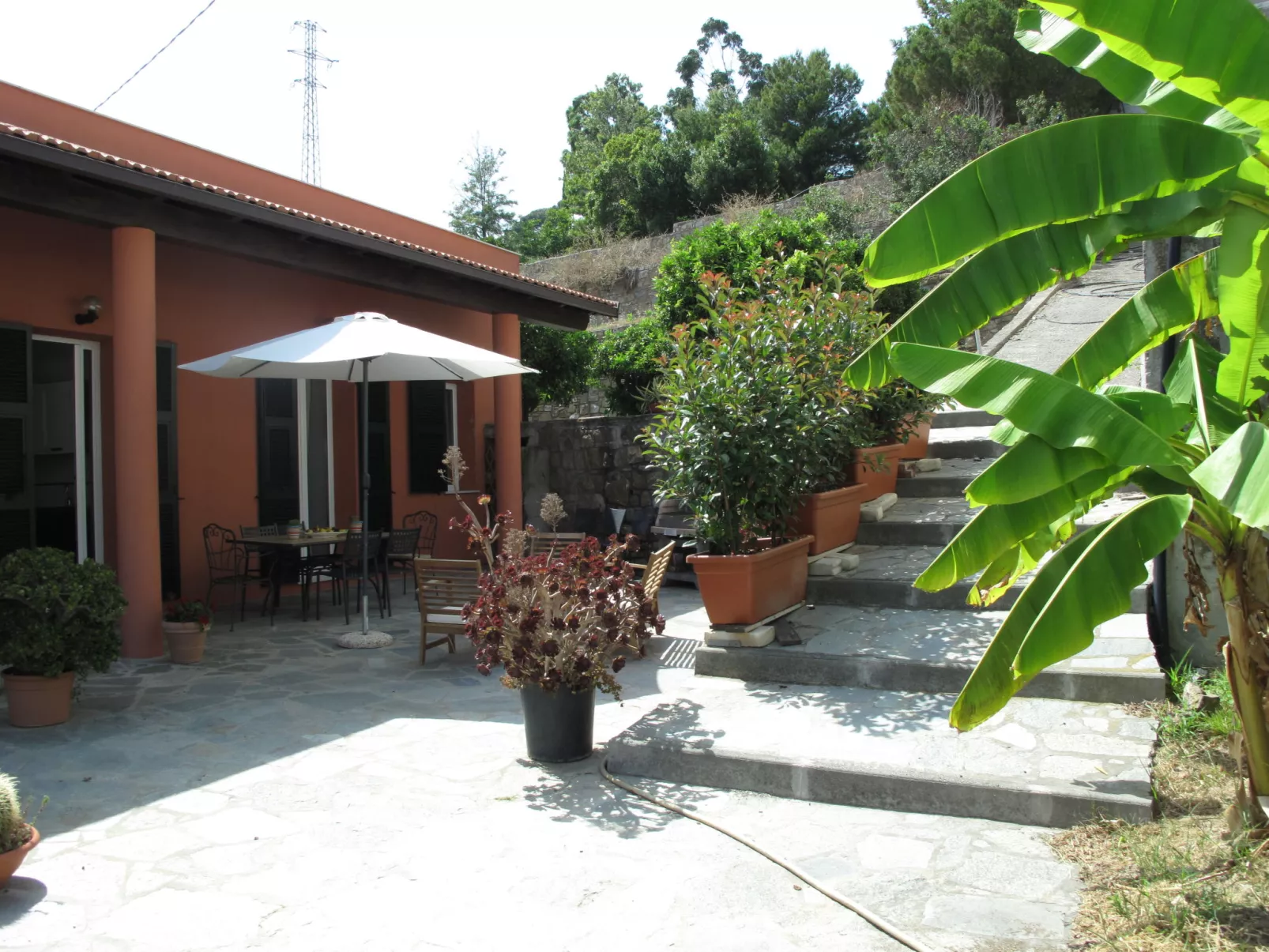 Ciliegi (SLR354)-Outside