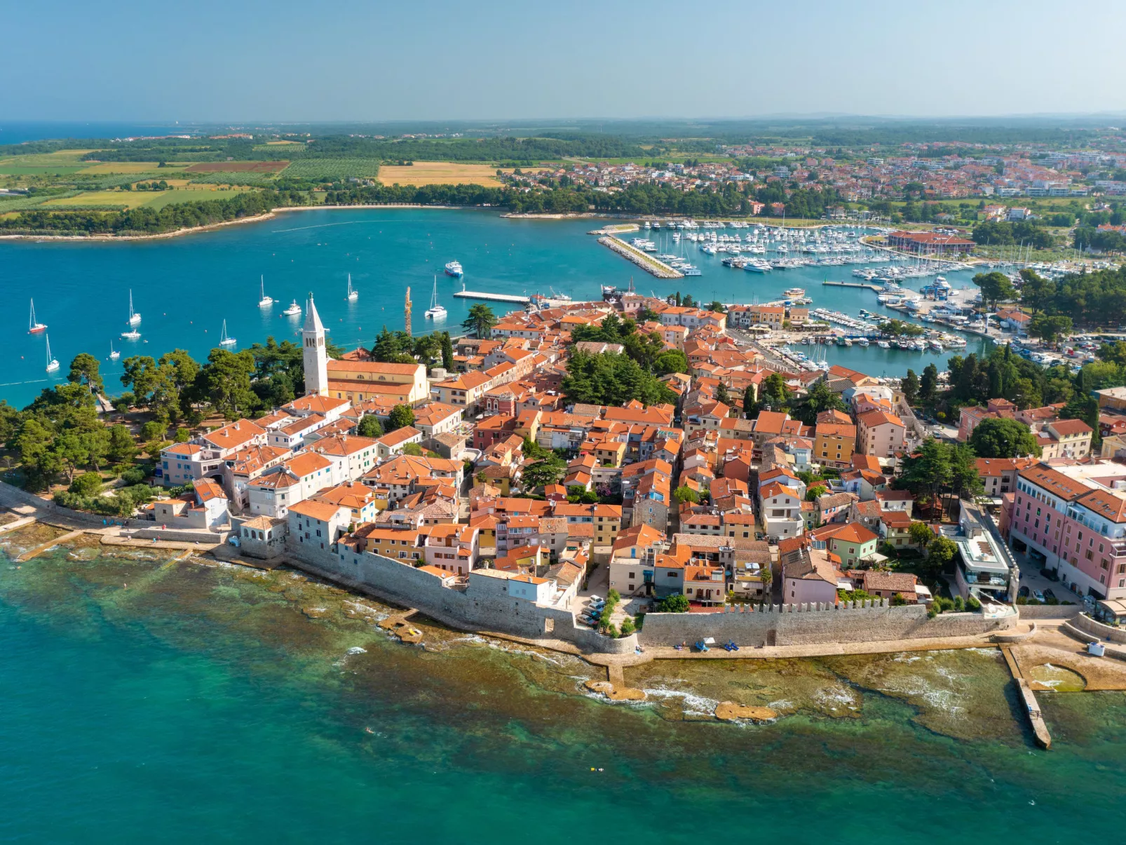Bianca-Area