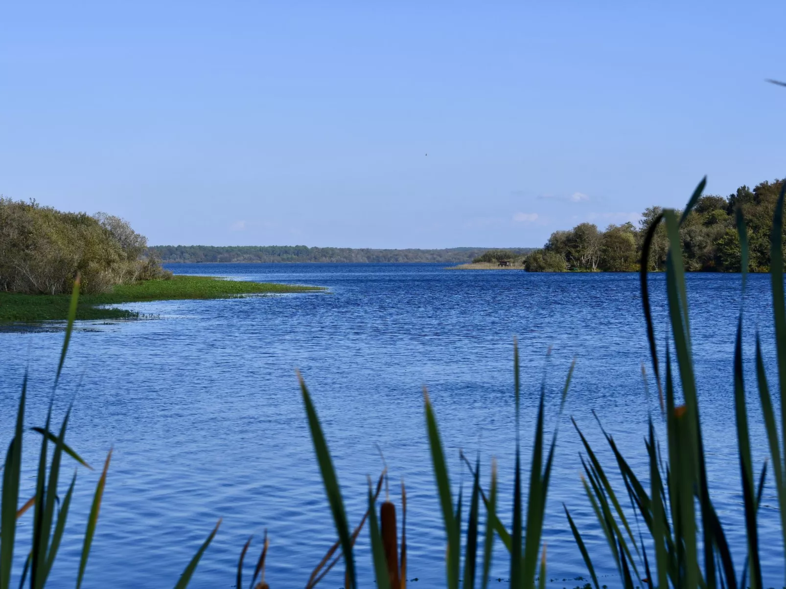 Côte Sud-Area