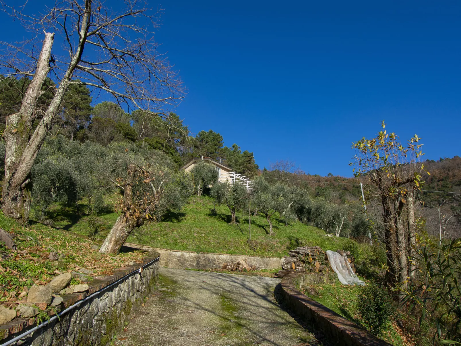 Il Paradiso-Outside