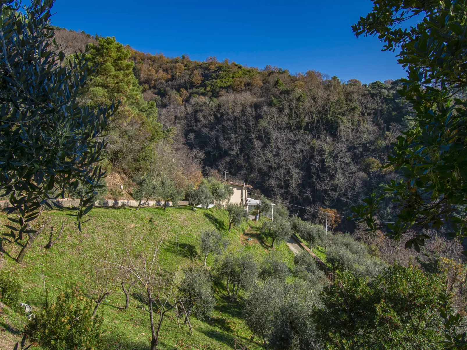 Il Paradiso-Outside
