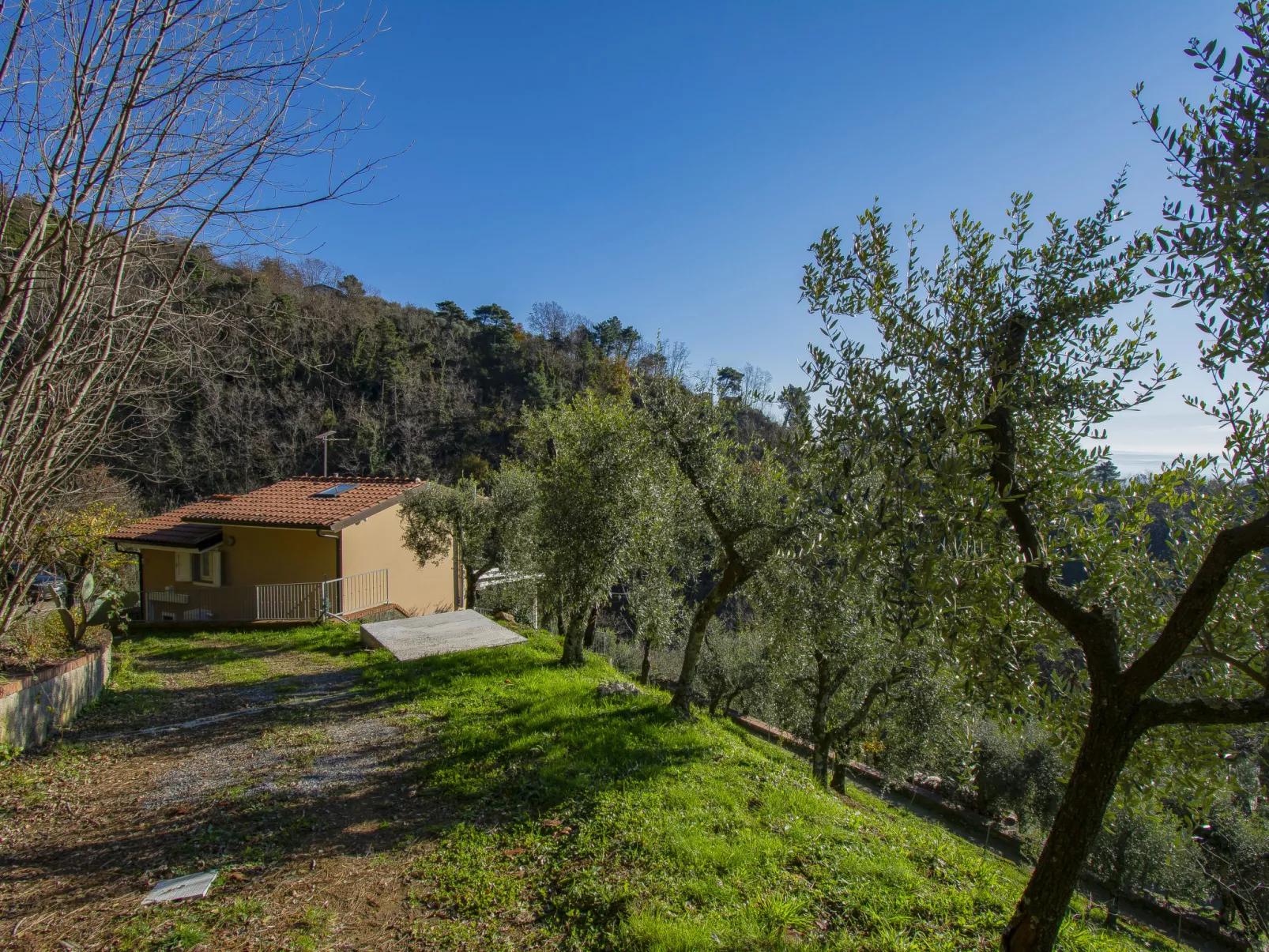 Il Paradiso-Outside